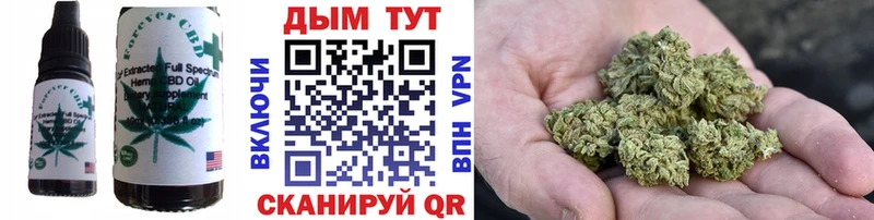 OMG онион  Сосновый Бор  Canna-Cookies конопля 