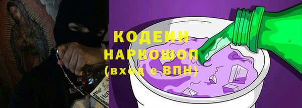 трава Корсаков