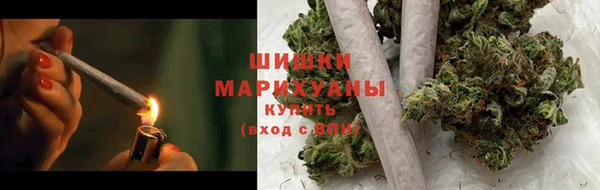 трава Корсаков