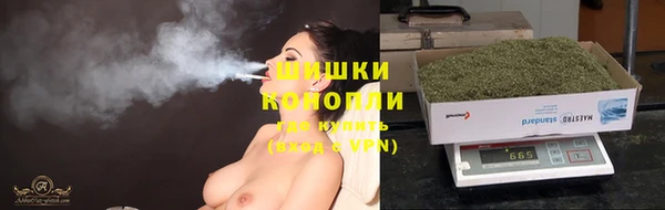 МДПВ Костерёво