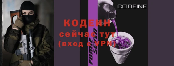 трава Корсаков