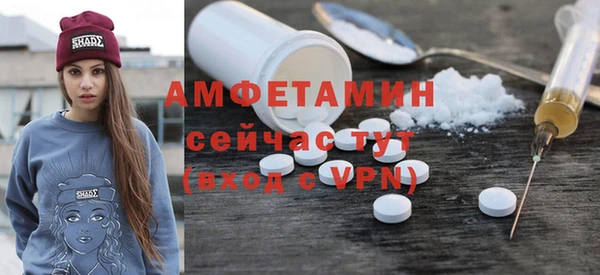 трава Корсаков