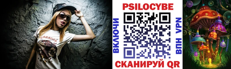 купить закладку  Сосновый Бор  Галлюциногенные грибы Psilocybe 