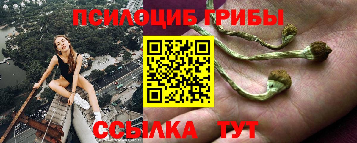 Псилоцибиновые грибы GOLDEN TEACHER Сосновый Бор