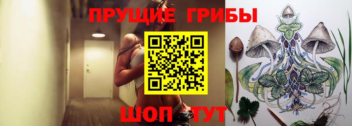 Галлюциногенные грибы GOLDEN TEACHER  Сосновый Бор  Псилоцибиновые грибы прущие грибы 