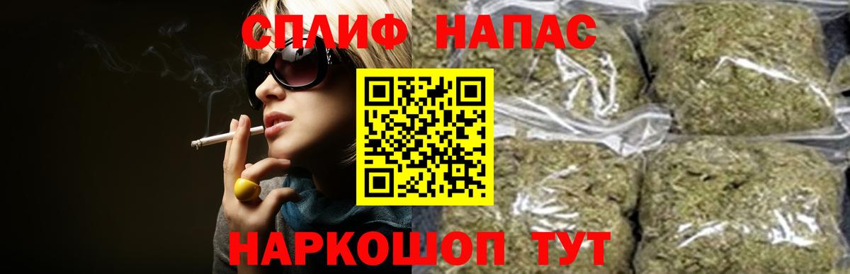 Бошки Шишки планчик  Бошки марихуана план  Конопля SATIVA & INDICA  Сосновый Бор  Бошки марихуана конопля 